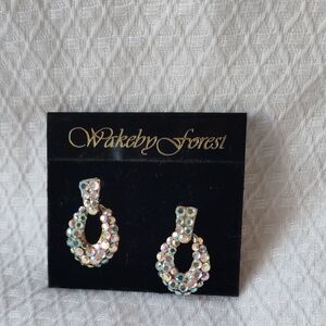 Iridescent Crystal Earrings